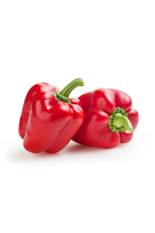 Pimiento Rojo Primera Unidad 